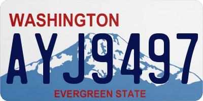 WA license plate AYJ9497