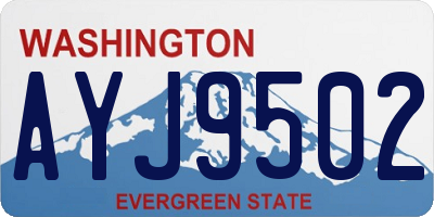 WA license plate AYJ9502