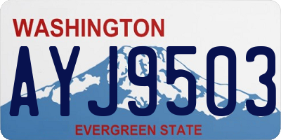 WA license plate AYJ9503