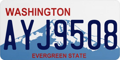 WA license plate AYJ9508