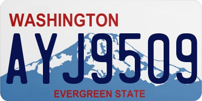 WA license plate AYJ9509