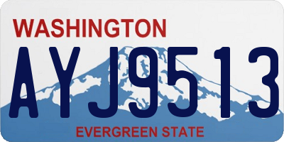 WA license plate AYJ9513