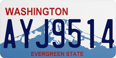 WA license plate AYJ9514