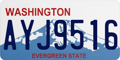 WA license plate AYJ9516