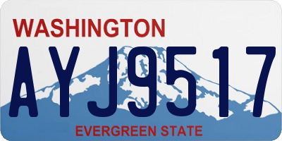 WA license plate AYJ9517