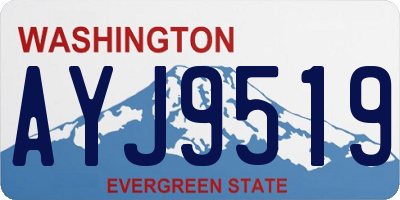 WA license plate AYJ9519