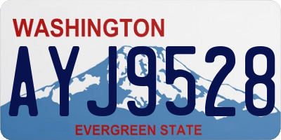 WA license plate AYJ9528
