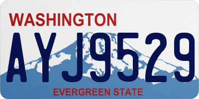 WA license plate AYJ9529