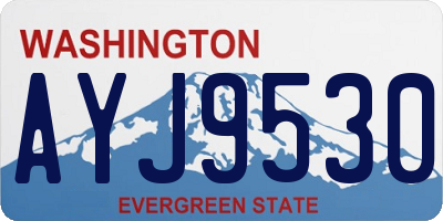 WA license plate AYJ9530