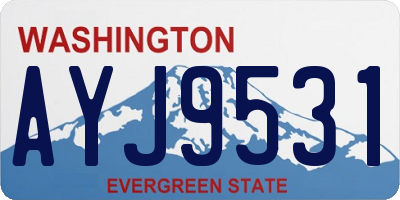 WA license plate AYJ9531