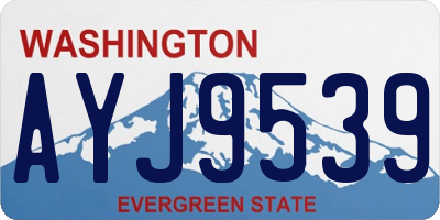 WA license plate AYJ9539