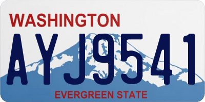 WA license plate AYJ9541