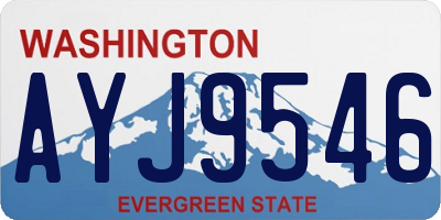 WA license plate AYJ9546
