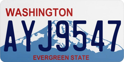 WA license plate AYJ9547