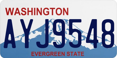 WA license plate AYJ9548
