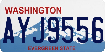 WA license plate AYJ9556