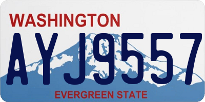 WA license plate AYJ9557