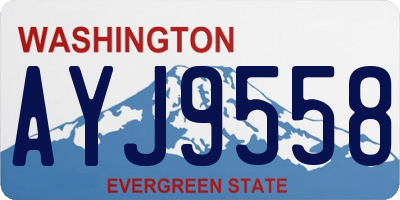 WA license plate AYJ9558