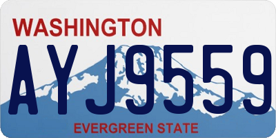 WA license plate AYJ9559