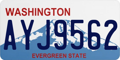 WA license plate AYJ9562