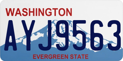 WA license plate AYJ9563