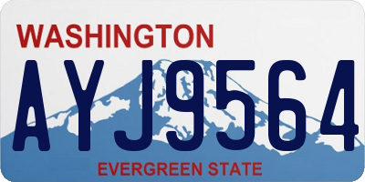 WA license plate AYJ9564