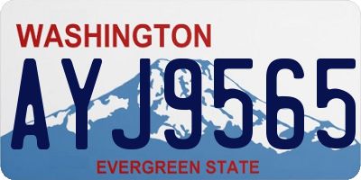 WA license plate AYJ9565