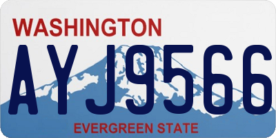 WA license plate AYJ9566