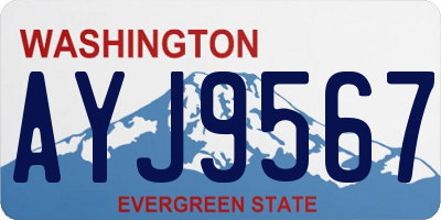 WA license plate AYJ9567