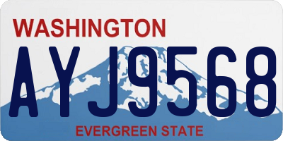 WA license plate AYJ9568