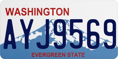 WA license plate AYJ9569