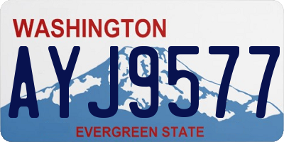 WA license plate AYJ9577