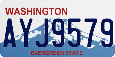 WA license plate AYJ9579