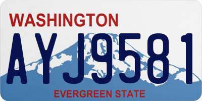 WA license plate AYJ9581