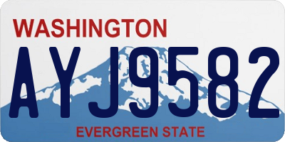 WA license plate AYJ9582