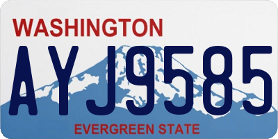WA license plate AYJ9585