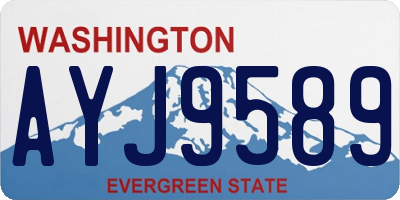 WA license plate AYJ9589