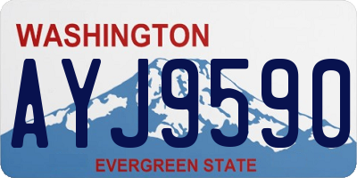 WA license plate AYJ9590