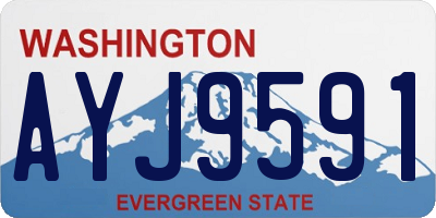 WA license plate AYJ9591