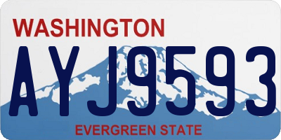 WA license plate AYJ9593