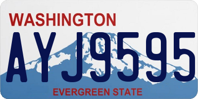 WA license plate AYJ9595