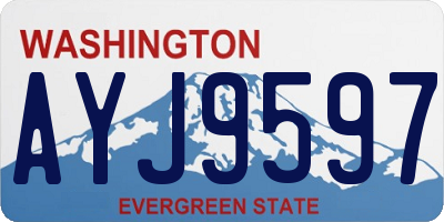 WA license plate AYJ9597