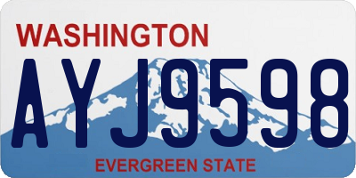 WA license plate AYJ9598