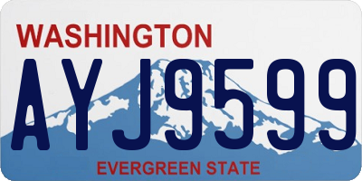 WA license plate AYJ9599