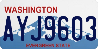 WA license plate AYJ9603