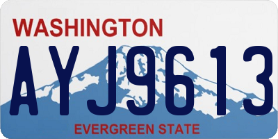 WA license plate AYJ9613
