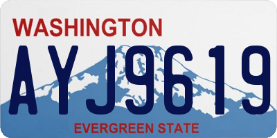 WA license plate AYJ9619