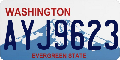 WA license plate AYJ9623