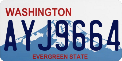 WA license plate AYJ9664