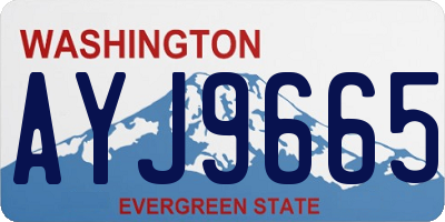 WA license plate AYJ9665